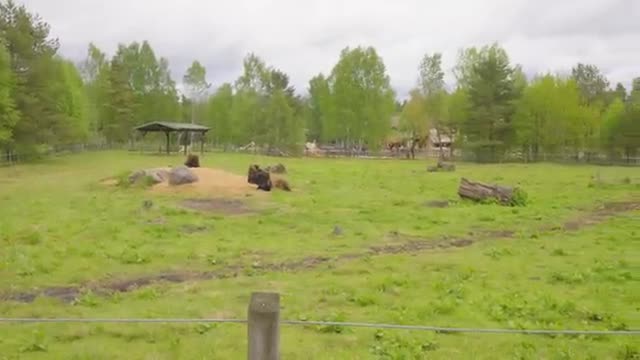 Tecknat Barn Svenska:High Chaparral (1966-2026) DVDRIPPEN (Svenska) Välkommen Till High Chaparral