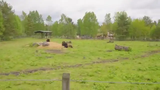 Tecknat Barn Svenska:High Chaparral (1966-2026) DVDRIPPEN (Svenska) Välkommen Till High Chaparral